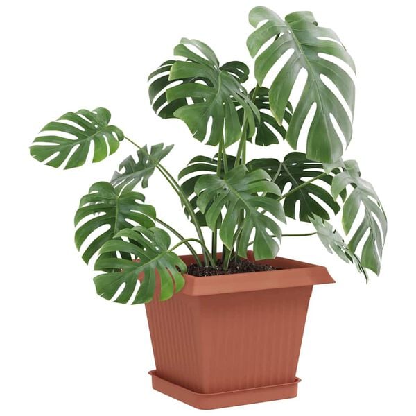 &Pi;&rho;&omicron;&beta;&omicron;&lambda;ή &Phi;&omega;&tau;&omicron;&gamma;&rho;&alpha;&phi;ί&alpha;&sigmaf; &Pi;&rho;&omicron;ϊό&nu;&tau;&omicron;&sigmaf; 3 &alpha;&pi;ό 10