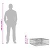 vidaXL &Alpha;&nu;&alpha;&sigma;&eta;&kappa;&omega;&mu;έ&nu;&omicron; &kappa;&rho;&epsilon;&beta;ά&tau;&iota; gabion &Alpha;&sigma;&eta;&mu;ί 60 x 60 x 20 &epsilon;&kappa;