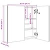 vidaXL Καθρέφτης Μπάνιου με Ντουλάπι & LED 62 x 14 x 60 εκ.