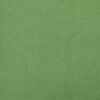vidaXL Μαξιλάρι Πλάτης Ανοιχτό Πράσινο 60 x 24 x 50 εκ Βελούδο