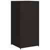 vidaXL Ντουλάπι Αποθήκευσης Κήπου Μαύρο 55x55x111 εκ. από Συνθ. Ρατάν