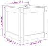vidaXL Ζαρντινιέρα 40 x 40 x 40 εκ. από Μασίφ Ξύλο Πεύκου