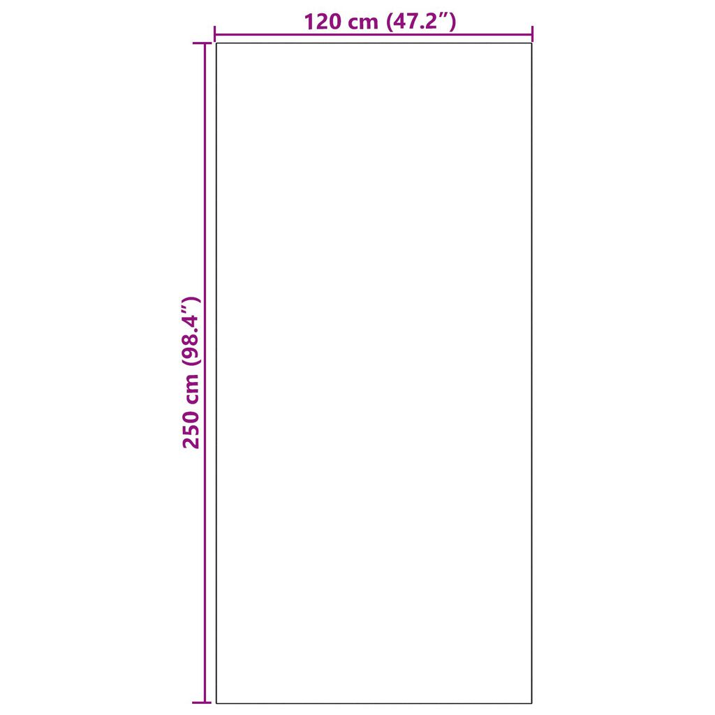 vidaXL Πατάκι πόρτας πλενόμενο σε ανθρακί 120x250 εκ.