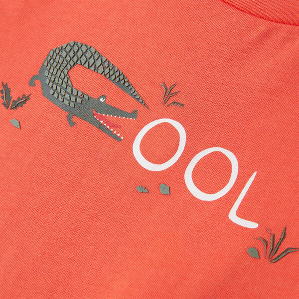 &Pi;&rho;&omicron;&beta;&omicron;&lambda;ή &Phi;&omega;&tau;&omicron;&gamma;&rho;&alpha;&phi;ί&alpha;&sigmaf; &Pi;&rho;&omicron;ϊό&nu;&tau;&omicron;&sigmaf; 4 &alpha;&pi;ό 7