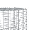 vidaXL Συρματοκιβώτιο με Κάλυμμα 300x100x50εκ. από Γαλβανισμένο Χάλυβα