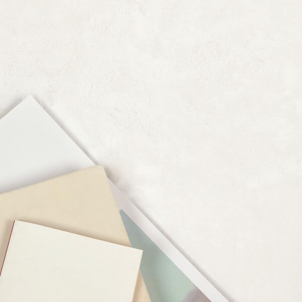 vidaXL &Chi;&alpha;&lambda;&iota;ά &Psi;&epsilon;ύ&tau;&iota;&kappa;&omicron;&upsilon; &Kappa;&omicron;&upsilon;&nu;&epsilon;&lambda;&iota;&omicron;ύ Olite &Kappa;&rho;&epsilon;&mu; 60 x 90 cm &Pi;&omicron;&lambda;&upsilon;&epsilon;&sigma;&tau;έ&rho;&alpha;&sigmaf;