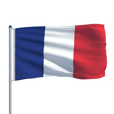 vidaXL Σημαία Γαλλίας 6 μ. με Ιστό Αλουμινίου