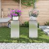 vidaXL Στήριξη φυτών 2 pcs Ασημί 24 x 24 x 55 εκ.