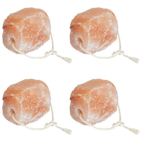 vidaXL Λίθοι Αλάτι Λιχλίδας 4 pcs Ροζ Πέτρες