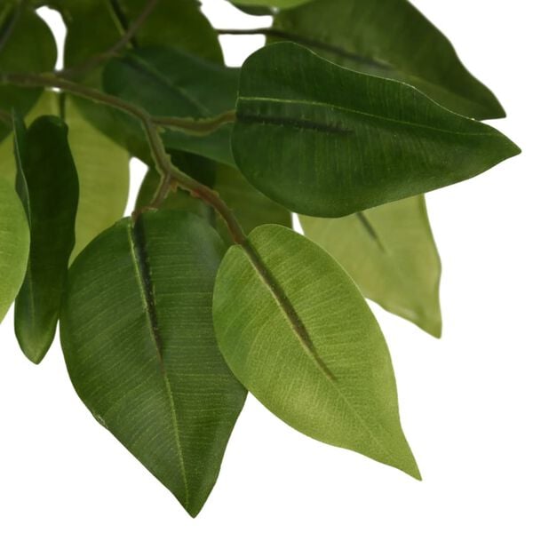 &Pi;&rho;&omicron;&beta;&omicron;&lambda;ή &Phi;&omega;&tau;&omicron;&gamma;&rho;&alpha;&phi;ί&alpha;&sigmaf; &Pi;&rho;&omicron;ϊό&nu;&tau;&omicron;&sigmaf; 3 &alpha;&pi;ό 5