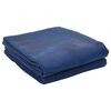 vidaXL &Chi;&alpha;&lambda;&kappa;ά&kappa;&iota; &Sigma;&kappa;&eta;&nu;ή&sigmaf; &Mu;&pi;&lambda;&epsilon; 250 x 250 cm &Pi;&omicron;&lambda;&upsilon;&epsilon;&sigma;&tau;έ&rho;&alpha;&sigmaf;