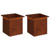 vidaXL &Zeta;&alpha;&rho;&nu;&tau;&iota;&nu;&iota;έ&rho;&alpha; &kappa;ή&pi;&omicron;&upsilon; &mu;&epsilon; LED 2 &tau;&mu;&chi;. &Sigma;&kappa; rusty 40 x 40 x 40 cm