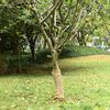Thumbnail &Pi;&rho;&omicron;ϊό&nu;&tau;&omicron;&sigmaf; 2 &alpha;&pi;ό 7