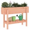vidaXL Ζαρντινιέρα Υπερυψωμένη 101x30x69 εκ. Μασίφ Ξύλο Ψευδοτσούγκας