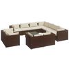 Brown_and_white