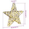vidaXL 3D Αστέρι με 50 LED Θερμό λευκό 55 x 52.5 x 9 εκ Ρατάν