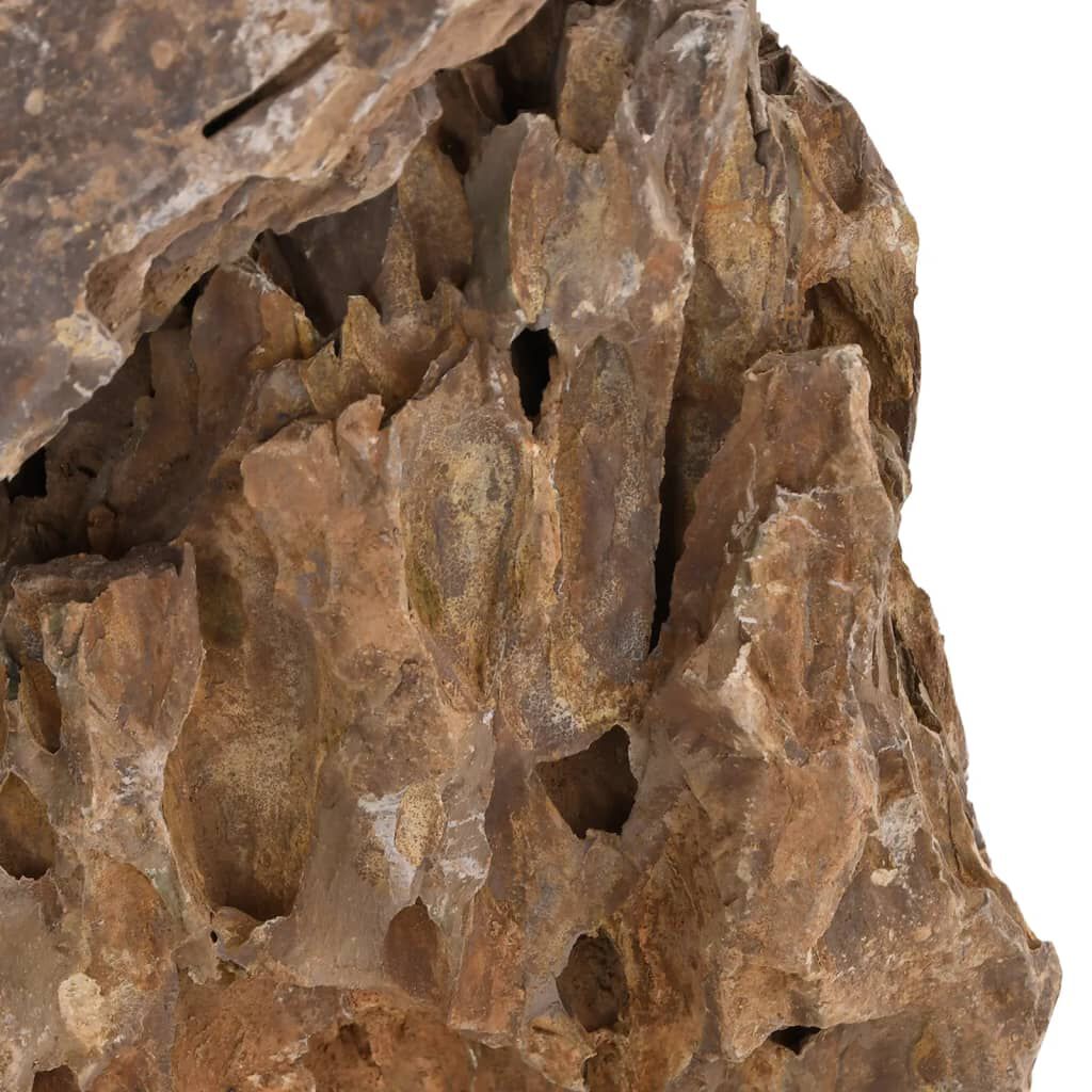vidaXL Πέτρες Dragon Stones Διάφορα Χρώματα 10 κιλά 10-30 εκ.