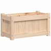 vidaXL Ζαρντινιέρα 60 x 31 x 31 εκ. από Μασίφ Ξύλο Πεύκου