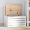 vidaXL &Kappa;&omicron;&upsilon;&tau;ί &Alpha;&pi;&omicron;&theta;ή&kappa;&epsilon;&upsilon;&sigma;&eta;&sigmaf; &Lambda;&epsilon;&upsilon;&kappa;ό 59,5x36,5x33 &epsilon;&kappa;. &Mu;&alpha;&sigma;ί&phi; &Xi;ύ&lambda;&omicron; &Pi;&epsilon;ύ&kappa;&omicron;&upsilon;