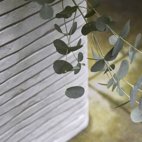 Capi &Gamma;&lambda;ά&sigma;&tau;&rho;&alpha; Nature Row &Tau;&epsilon;&tau;&rho;ά&gamma;&omega;&nu;&eta; &Iota;&beta;&omicron;&upsilon;ά&rho; 40 x 40 &epsilon;&kappa;. PKRWI903