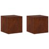 vidaXL &Beta;ά&sigma;&eta; &phi;&upsilon;&tau;ώ&nu; 2 pcs &Sigma;&kappa; rusty 40 x 40 x 40 cm