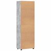 vidaXL Highboard &mu;&epsilon; &rho;ά&phi;&iota; FLORIN &Sigma;&kappa;&upsilon;&rho;ό&delta;&epsilon;&mu;&alpha; &Gamma;&kappa;&rho;&iota; 60 x 35 x 182 &epsilon;&kappa;.