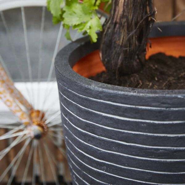 Capi &Beta;ά&zeta;&omicron; Nature Row Elegant Low &Alpha;&nu;&theta;&rho;&alpha;&kappa;ί 36 x 47 &epsilon;&kappa;. KRWZ782