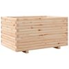 Natural_pine