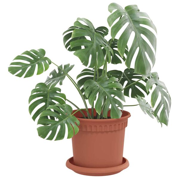 vidaXL &Sigma;&tau;&rho;&omicron;&gamma;&gamma;&upsilon;&lambda;ό&sigmaf; &Delta;ί&sigma;&kappa;&omicron;&sigmaf; &Lambda;&omicron;&upsilon;&lambda;&omicron;&upsilon;&delta;&iota;ώ&nu; 24 pcs &Kappa;&epsilon;&rho;&alpha;&mu;&iota;&delta;ί &Oslash; 14 x 2 &epsilon;&kappa;