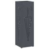 Anthracite