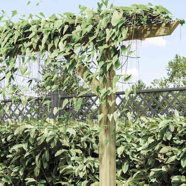 &Pi;&rho;&omicron;&beta;&omicron;&lambda;ή &Phi;&omega;&tau;&omicron;&gamma;&rho;&alpha;&phi;ί&alpha;&sigmaf; &Pi;&rho;&omicron;ϊό&nu;&tau;&omicron;&sigmaf; 4 &alpha;&pi;ό 11