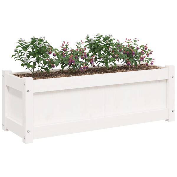&Pi;&rho;&omicron;&beta;&omicron;&lambda;ή &Phi;&omega;&tau;&omicron;&gamma;&rho;&alpha;&phi;ί&alpha;&sigmaf; &Pi;&rho;&omicron;ϊό&nu;&tau;&omicron;&sigmaf; 4 &alpha;&pi;ό 11
