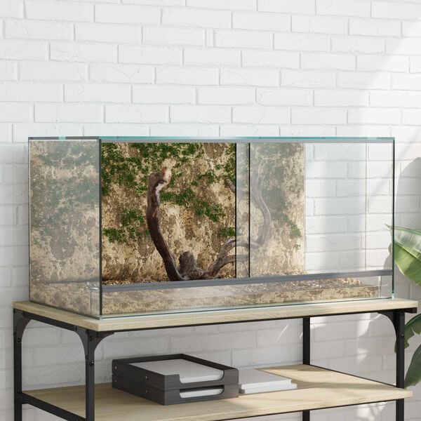 vidaXL Habitats ερπετών και αμφιβίων Λευκό 80 x 40 x 40 cm Γυαλί