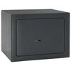 vidaXL Χρηματοκιβώτιο Σκοτεινό γκρίζο RAL7016 17 x 23 x 17 εκ. Ατσάλι