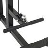 vidaXL Μηχάνημα έλξεων πλάτης Μαύρο 110 x 70 x 187 εκ.