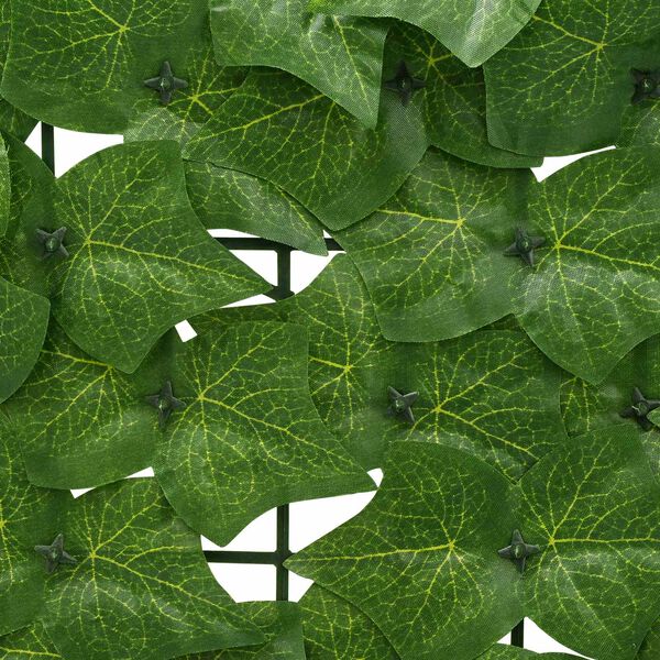 &Pi;&rho;&omicron;&beta;&omicron;&lambda;ή &Phi;&omega;&tau;&omicron;&gamma;&rho;&alpha;&phi;ί&alpha;&sigmaf; &Pi;&rho;&omicron;ϊό&nu;&tau;&omicron;&sigmaf; 4 &alpha;&pi;ό 6