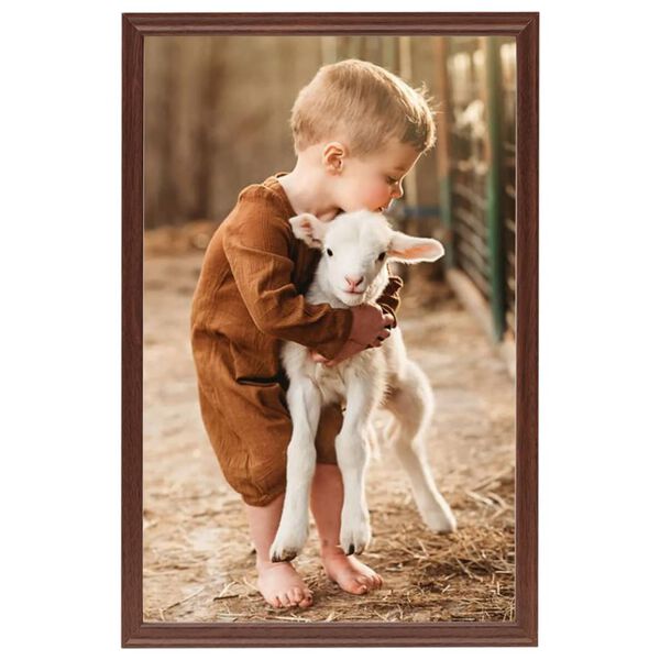 vidaXL &Kappa;&omicron;&rho;&nu;ί&zeta;&epsilon;&sigmaf; &Kappa;&omicron;&lambda;ά&zeta; &Epsilon;&pi;&iota;&tau;&rho;&alpha;&pi;έ&zeta;&iota;&epsilon;&sigmaf; 5 &tau;&epsilon;&mu;. &Kappa;&alpha;&phi;έ 21 x 29,7 &epsilon;&kappa;. MDF