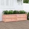 vidaXL Ζαρντινιέρα 180x50x50 εκ. από Μασίφ Ξύλο Ψευδοτσούγκας