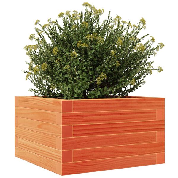 vidaXL Ζαρντινιέρα Καφέ Κεριού 40x40x23 εκ. από Μασίφ Ξύλο Πεύκου