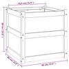 vidaXL Ζαρντινιέρα 60 x 60 x 60 εκ. από Μασίφ Ξύλο Ψευδοτσούγκας