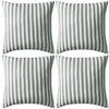 Grey_stripe