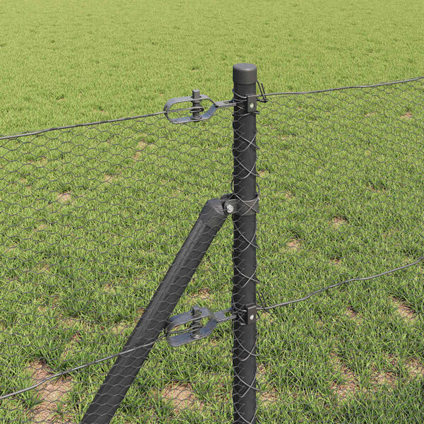 &Pi;&rho;&omicron;&beta;&omicron;&lambda;ή &Phi;&omega;&tau;&omicron;&gamma;&rho;&alpha;&phi;ί&alpha;&sigmaf; &Pi;&rho;&omicron;ϊό&nu;&tau;&omicron;&sigmaf; 4 &alpha;&pi;ό 15