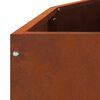 vidaXL &Gamma;&lambda;ά&sigma;&tau;&rho;&alpha; &Sigma;&kappa; rusty 120 x 60 x 35 cm &Alpha;&tau;&sigma;ά&lambda;&iota; &Sigma;&kappa;&lambda;&eta;&rho;&upsilon;&theta;έ&nu; &sigma;&tau;&omicron;&nu; &Alpha;έ&rho;&alpha;