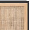 vidaXL Ντουλάπι Μαύρο 105x30x60 εκ. από Μασίφ Πεύκο & Φυσικό Ρατάν