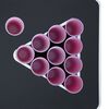 vidaXL Τραπέζι Beer Pong Πτυσσόμενο με Ποτήρια και Μπάλες 240 εκ.