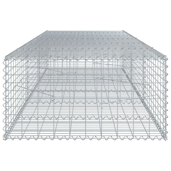 vidaXL Συρματοκιβώτιο με Κάλυμμα 300x100x50εκ. από Γαλβανισμένο Χάλυβα