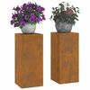 vidaXL Στήριξη φυτών 2 pcs Σκ rusty 24 x 24 x 55 εκ.