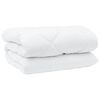 vidaXL Χειμερινό Παπλωματοθήκη 3 pcs Λευκό 200 x 220 cm Μικροΐνες