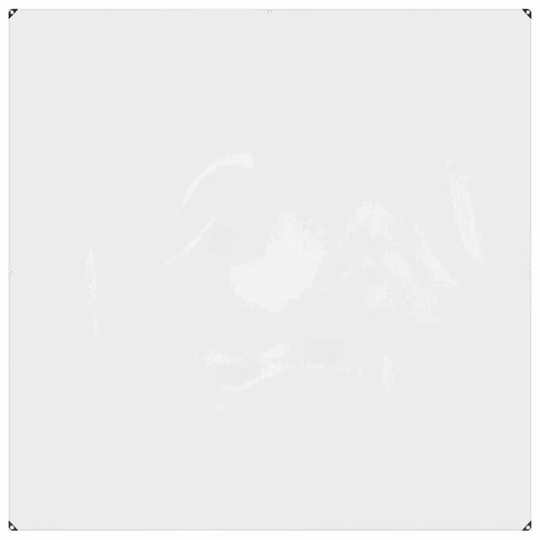 vidaXL &Tau;&epsilon;&nu;&tau;ό&pi;&alpha;&nu;&alpha; &mu;&epsilon; &Theta;&eta;&lambda;&iota;έ&sigmaf; &Delta;&iota;&alpha;&phi;&alpha;&nu;έ&sigmaf; 2 x 2 m &Pi;&omicron;&lambda;&upsilon;&alpha;&iota;&theta;&upsilon;&lambda;έ&nu;&iota;&omicron;