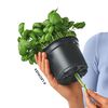 LECHUZA Γλάστρα Επιτραπέζια OJO ALL-IN-ON Ροζ Ρουμπινί